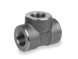 TE serie 3000 NPT , SW